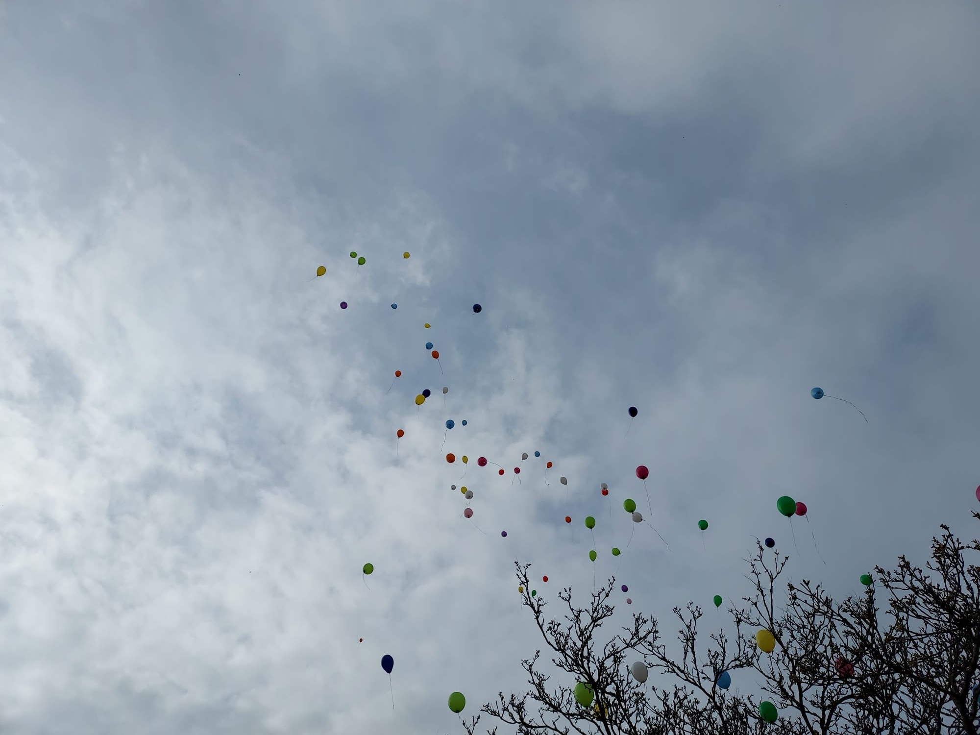 Unsere Luftballons fliegen in den Himmel