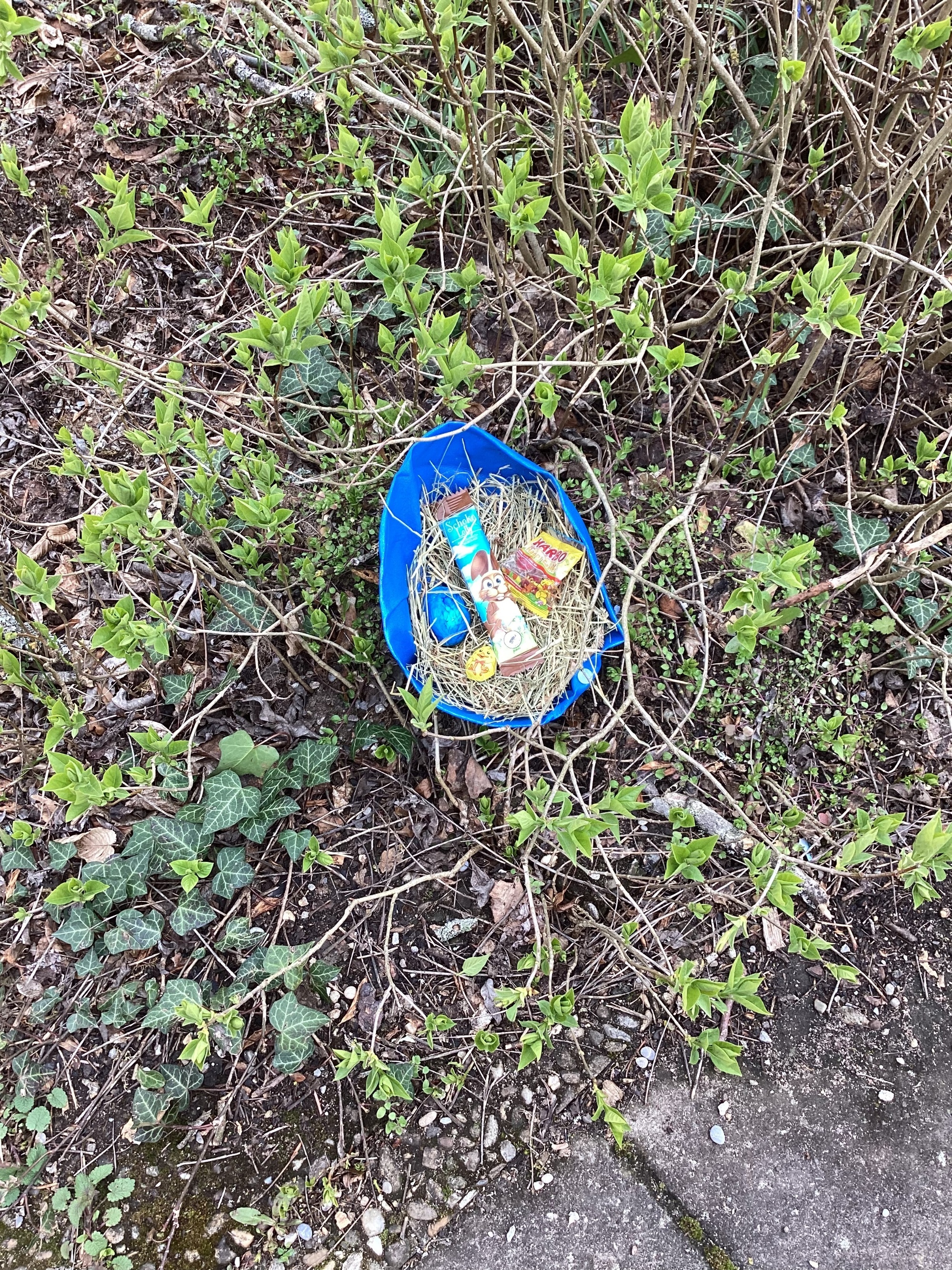 Osternest
